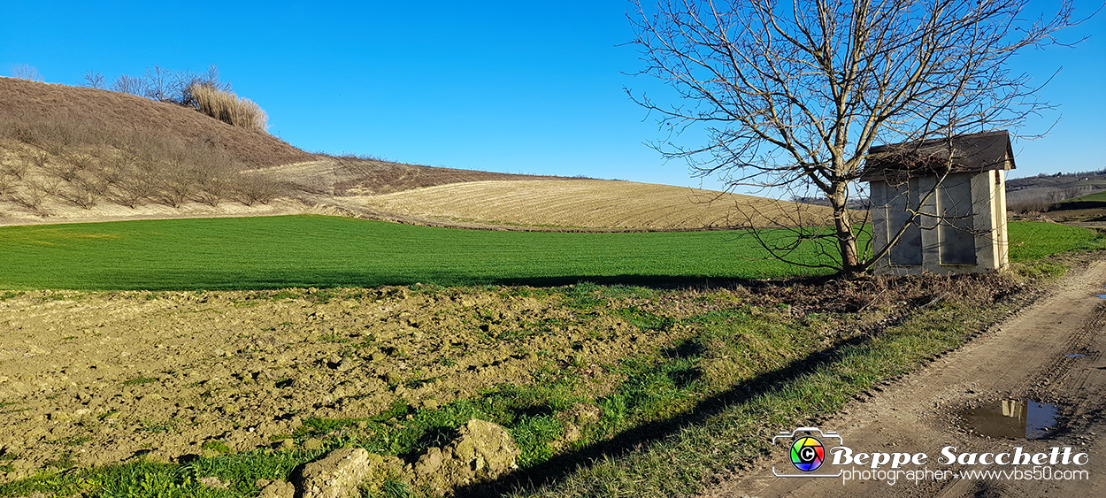 20230110_152521 - Dalla terra... il grano.jpg